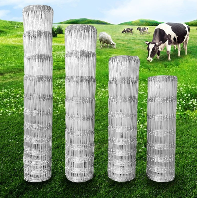 Rabbit Cage Wire - 1 × 50 メートル 10-25 センチメートルギャップ家畜抗牛豚鹿ヤギ小屋ネット畜産ヒンジジョイントフィールドワイヤーストレッチャーファームフェンス