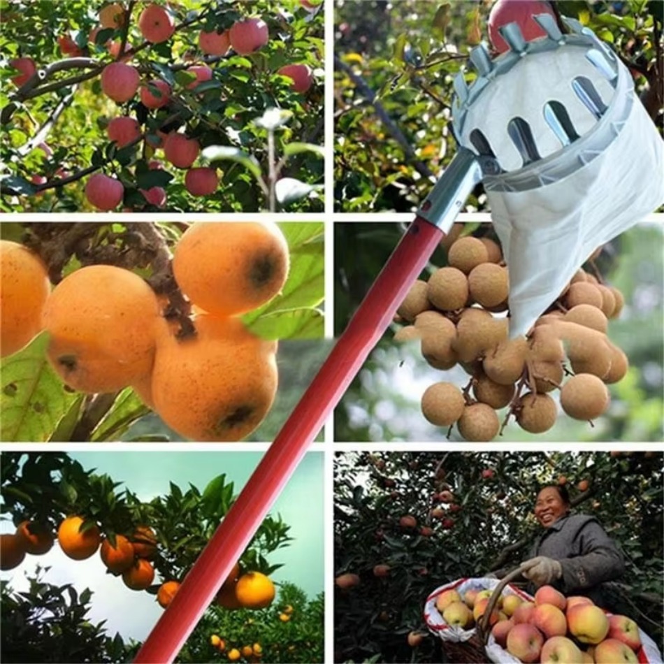 多目的伸縮式亜鉛メッキ鉄フルーツピッカー庭摘み用高高度フルー - Farming Tools For Agriculture のレビューと価格
