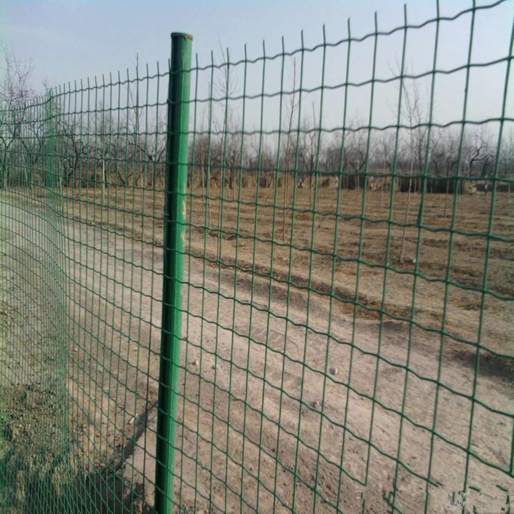 庭のフェンス用の安全ワイヤーロール,芝生,パティオ,バルコニ - Rabbit Cage Wire のレビューと価格