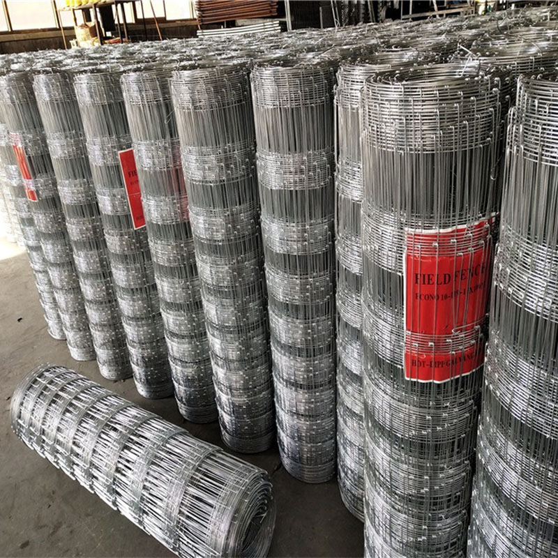 1 × 50 メートル 10-25 センチメートルギャップ家 - Rabbit Cage Wire のレビューと価格
